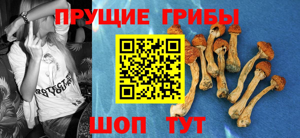 Галлюциногенные грибы мухоморы Грозный