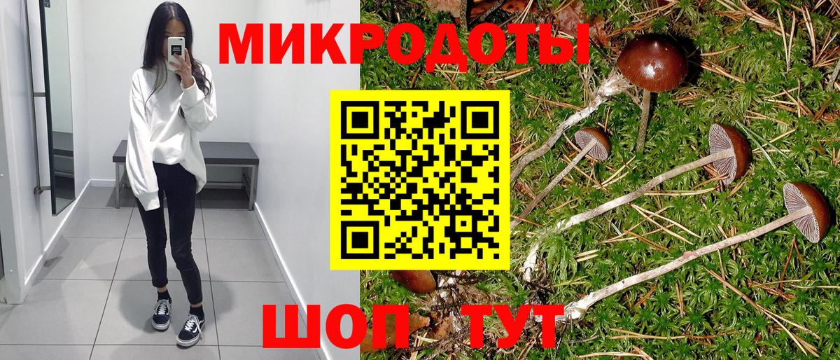 Галлюциногенные грибы MAGIC MUSHROOMS  Вход с VPN  Грозный 