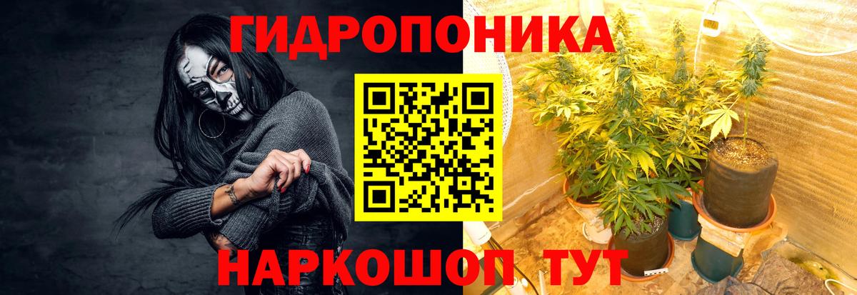 Шишки марихуана планчик Грозный